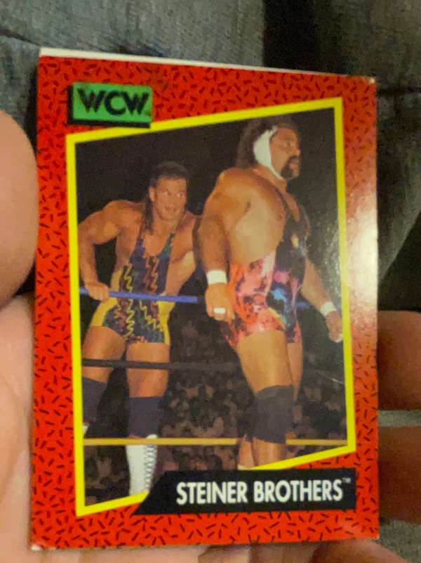 Steiner Brothers