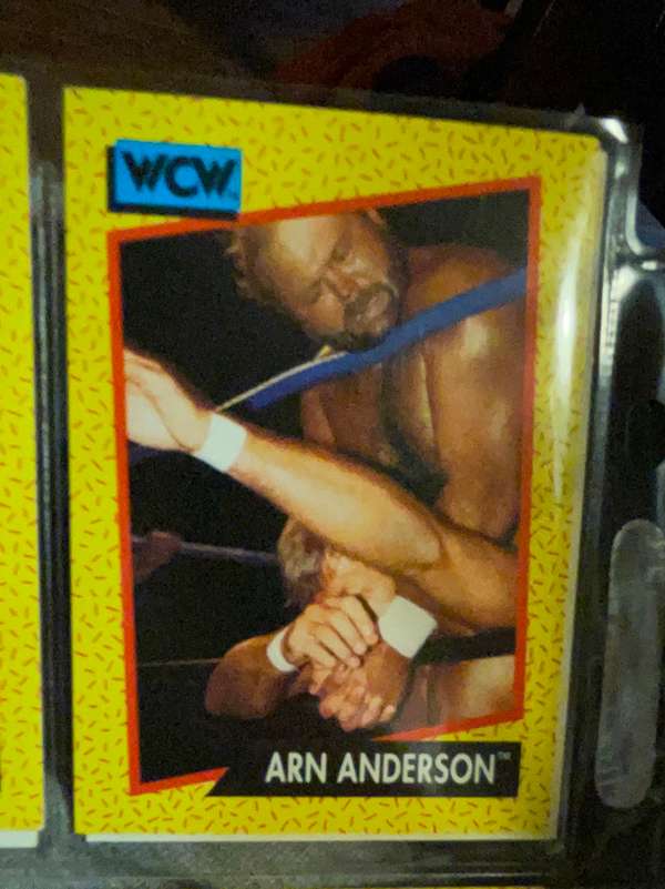 Arn Anderson