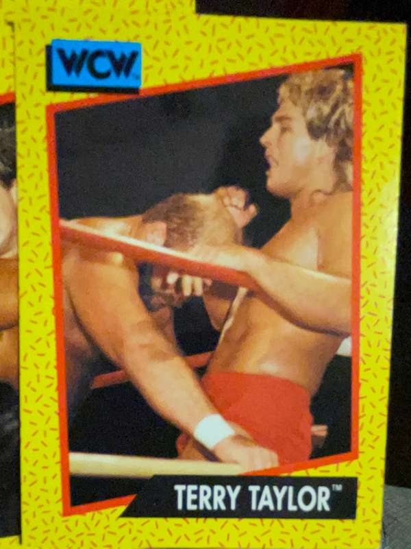 Terry Taylor