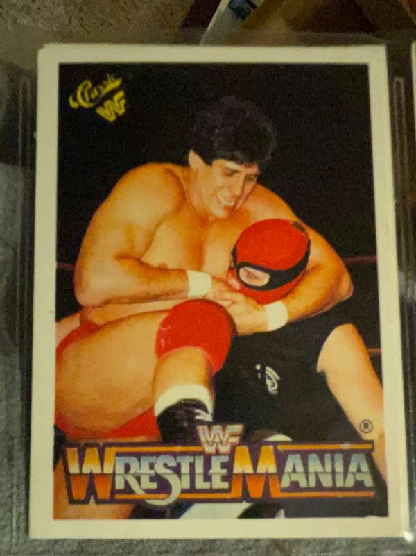 Tito Santana / Masked Executioner 