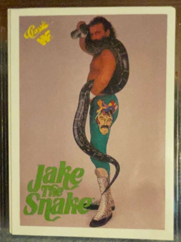 Jake "The Snake" Roberts