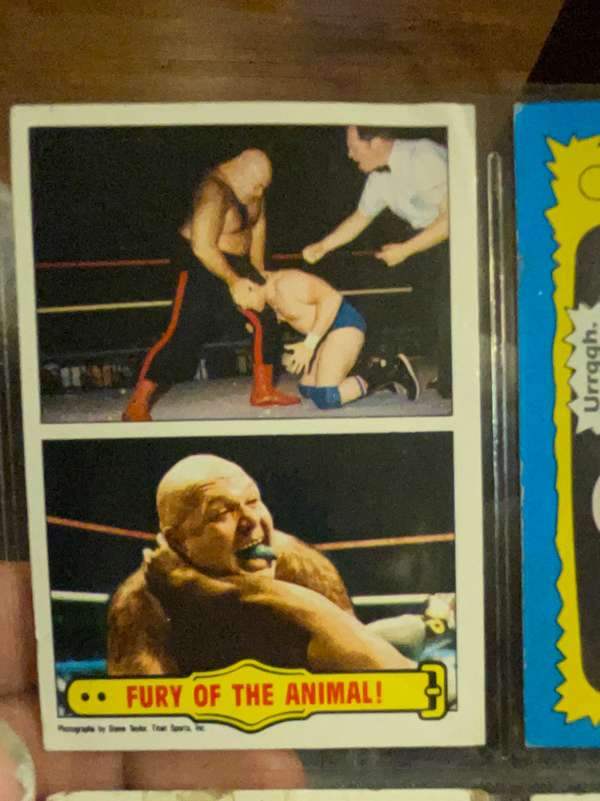 Fury Of The Animal!