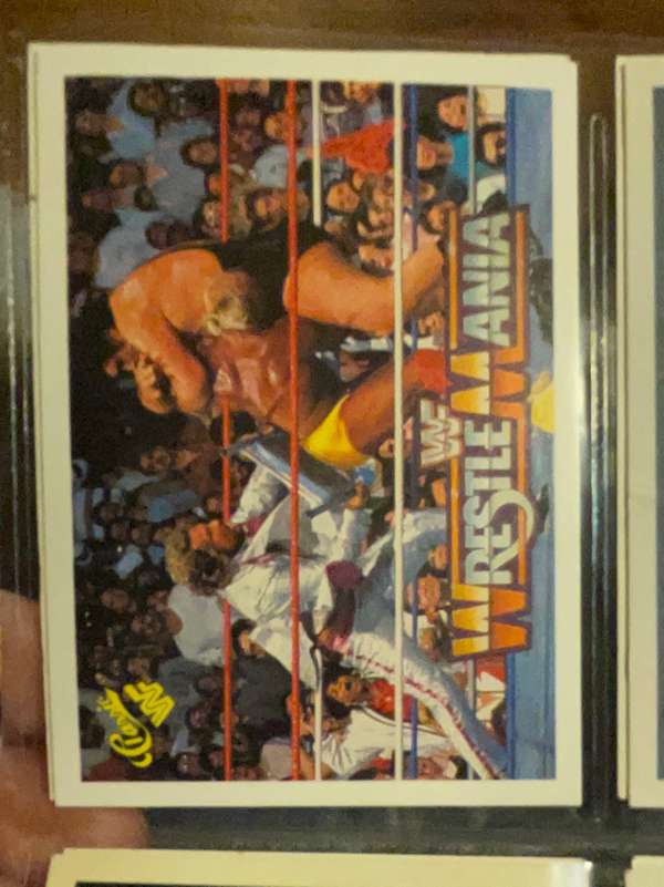 Hulk Hogan / Andre the Giant / "Million Dollar Man" Ted DiBiase 
