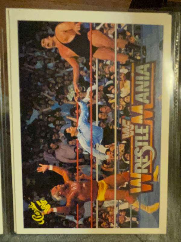 Hulk Hogan / Andre the Giant 