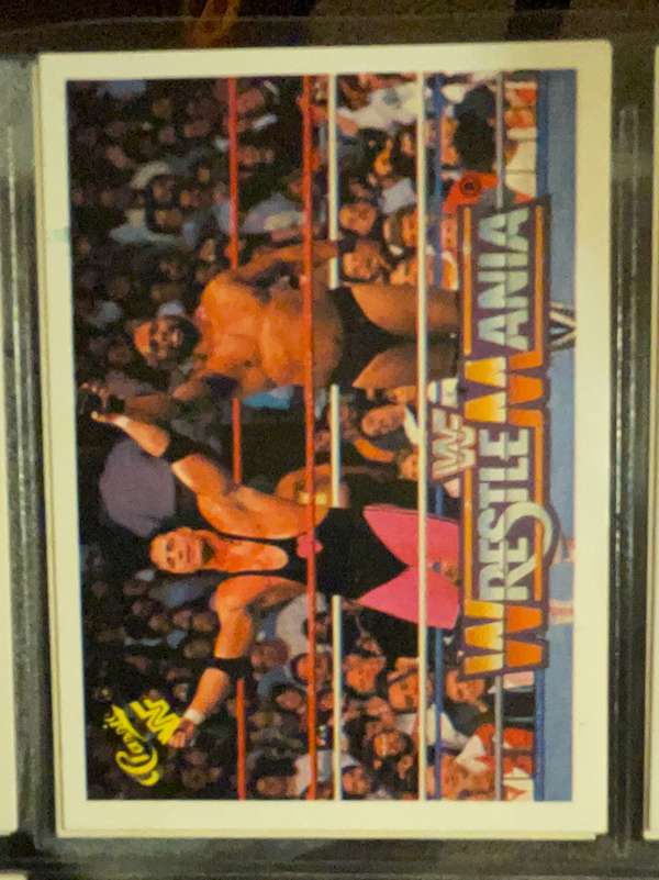 Bret "Hitman" Hart / Bad News Brown 