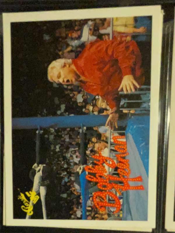 Bobby "The Brain" Heenan