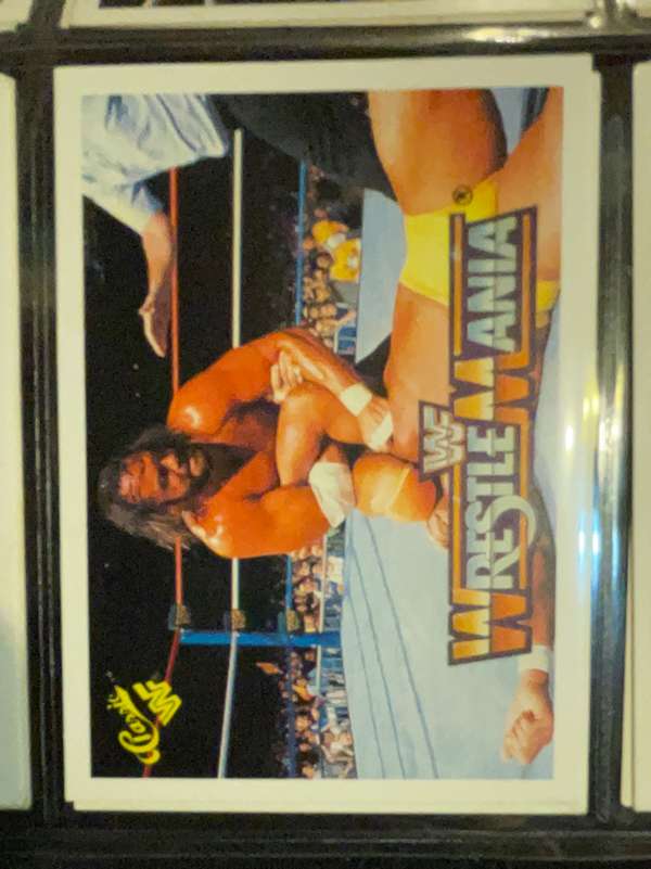 Hulk Hogan / "Macho Man" Randy Savage 