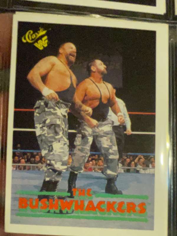 The Bushwhackers (Butch & Luke)