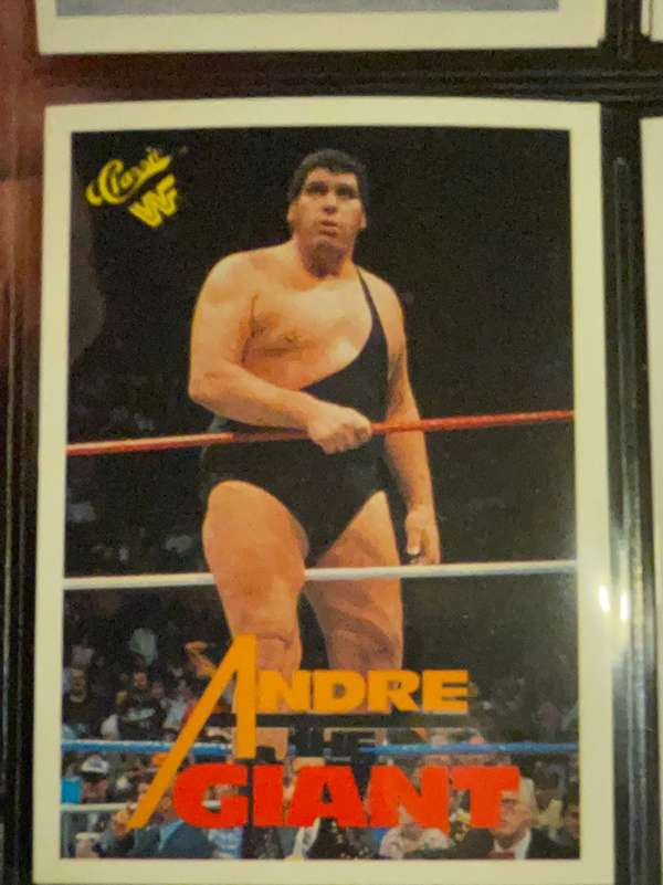 Andre the Giant