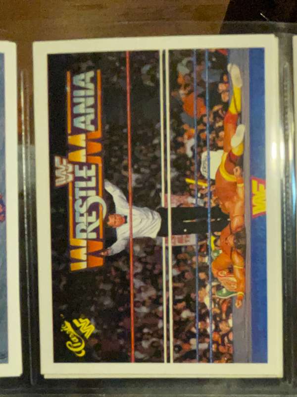 Hulk Hogan / Ultimate Warrior 
