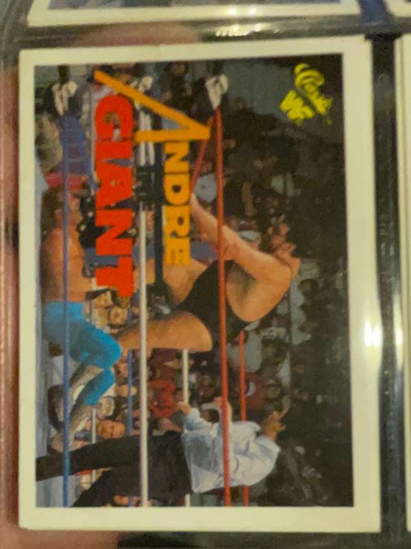 Andre the Giant