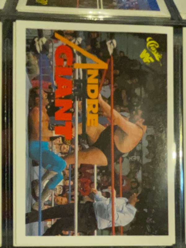 Andre the Giant
