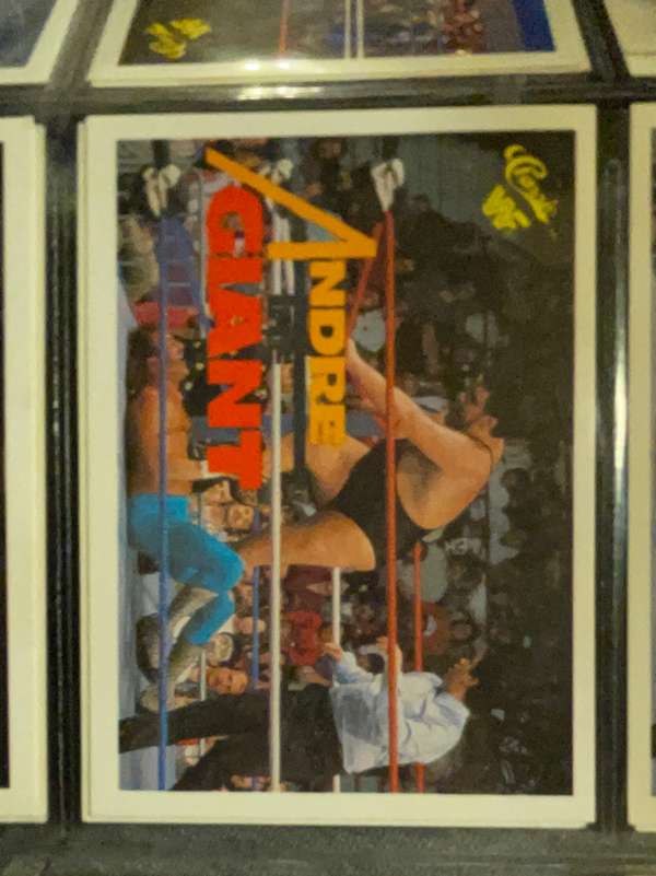 Andre the Giant