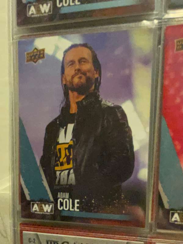 Adam Cole
