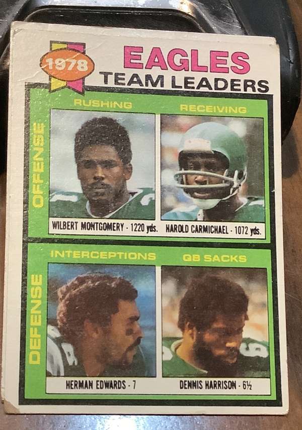 Vikings Team Leaders
