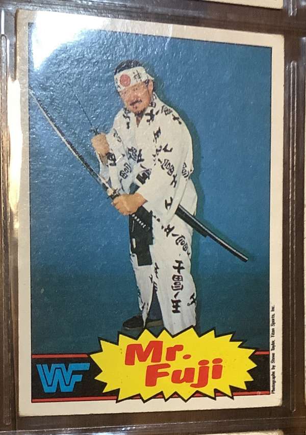Mr. Fuji