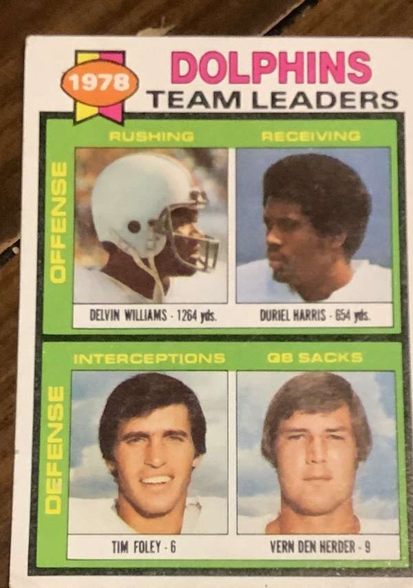 Dolphins Team Leaders