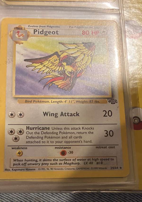 #033/110 Pidgeot