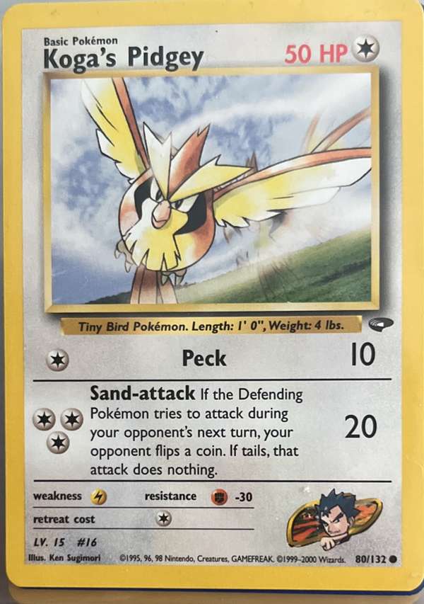 Koga's Pidgey (80)