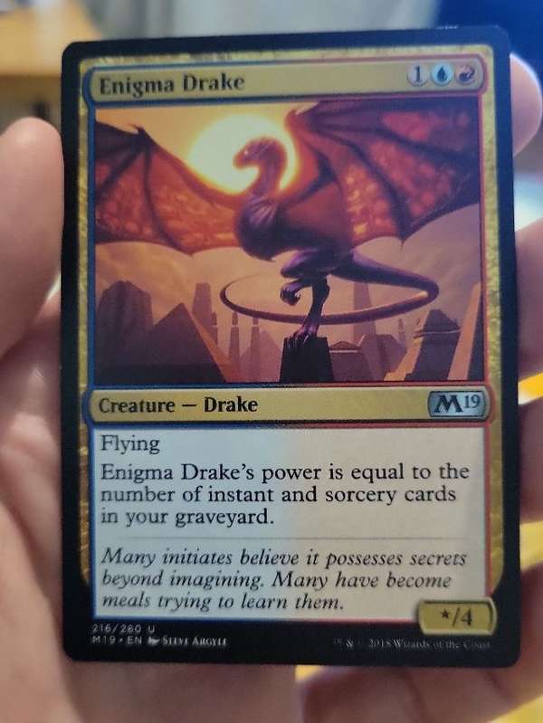 Enigma Drake