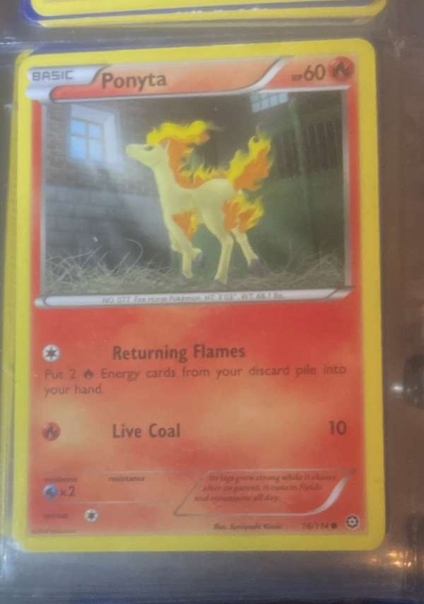 Ponyta