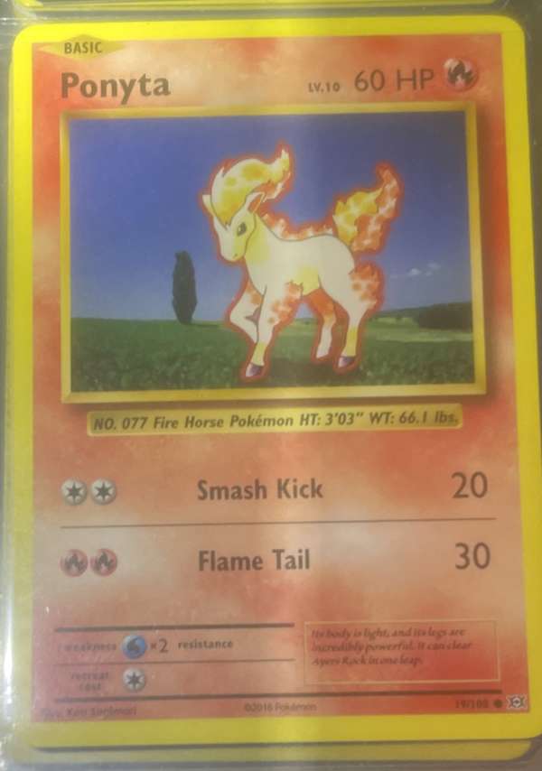 Ponyta