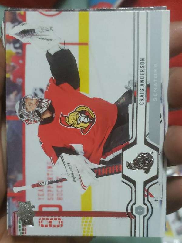 Craig Anderson