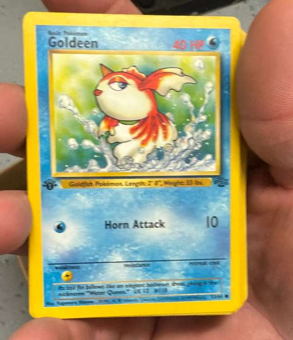 Goldeen