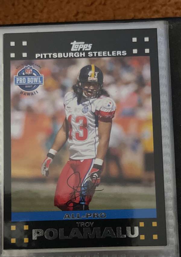 Troy Polamalu