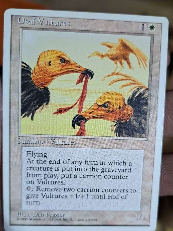 Osai Vultures