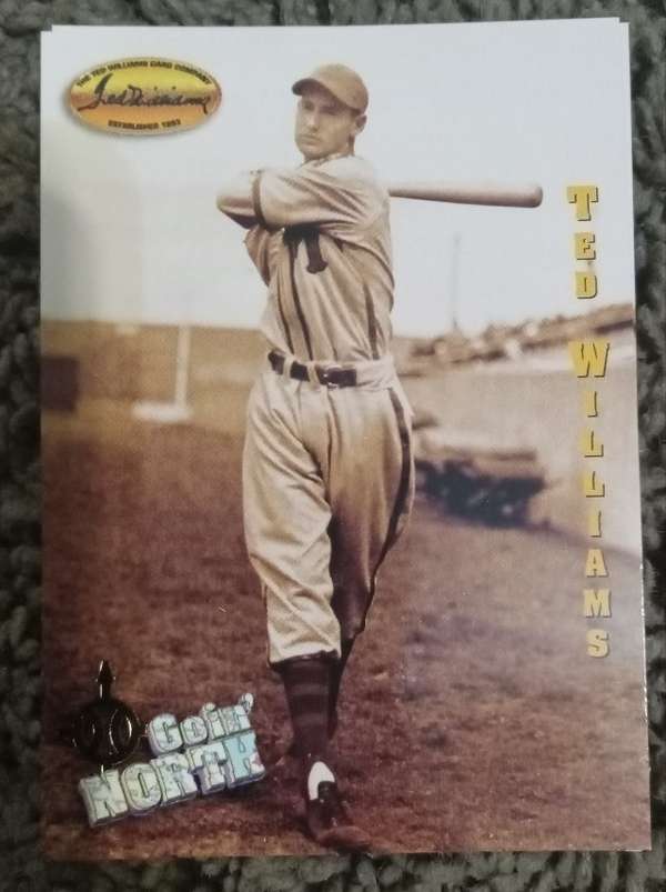 Ted Williams
