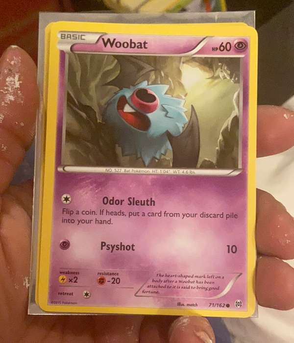 Woobat