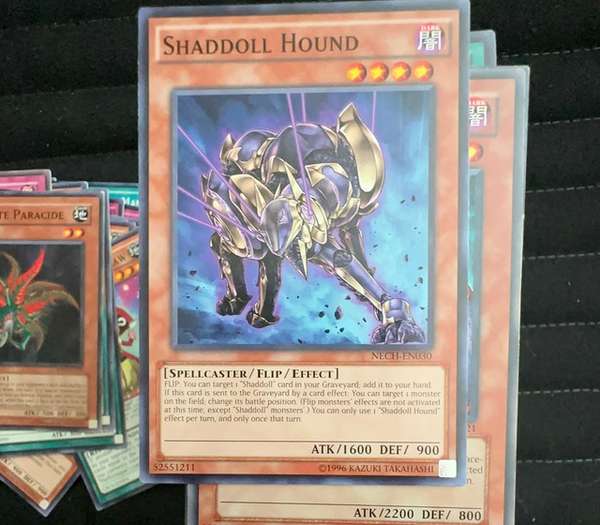 Shaddoll Hound