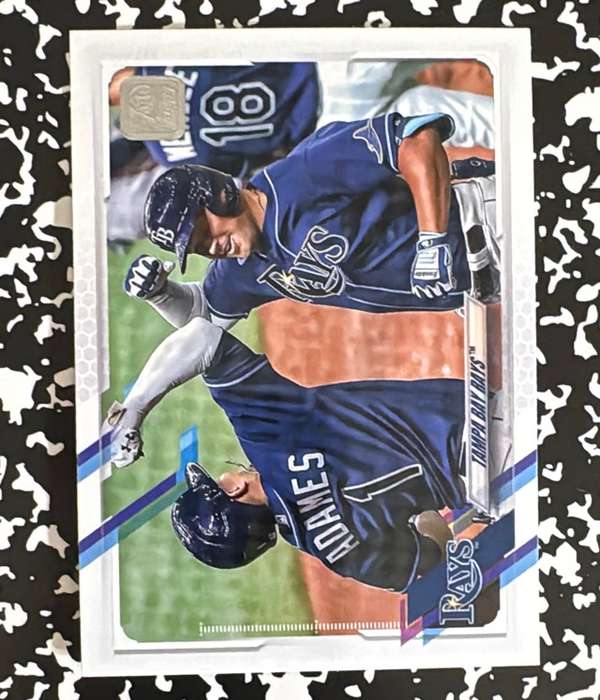 Tampa Bay Rays