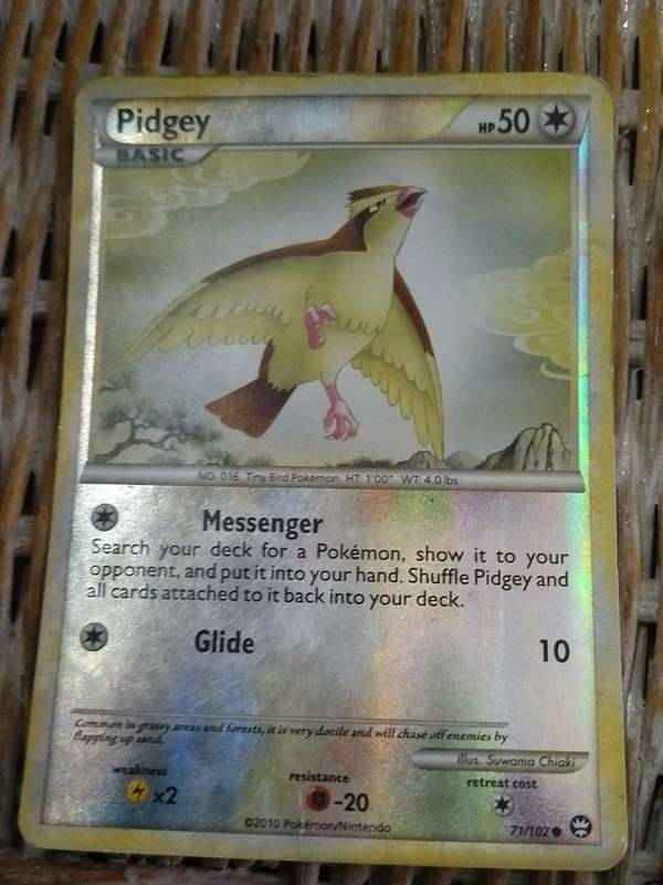 Pidgey