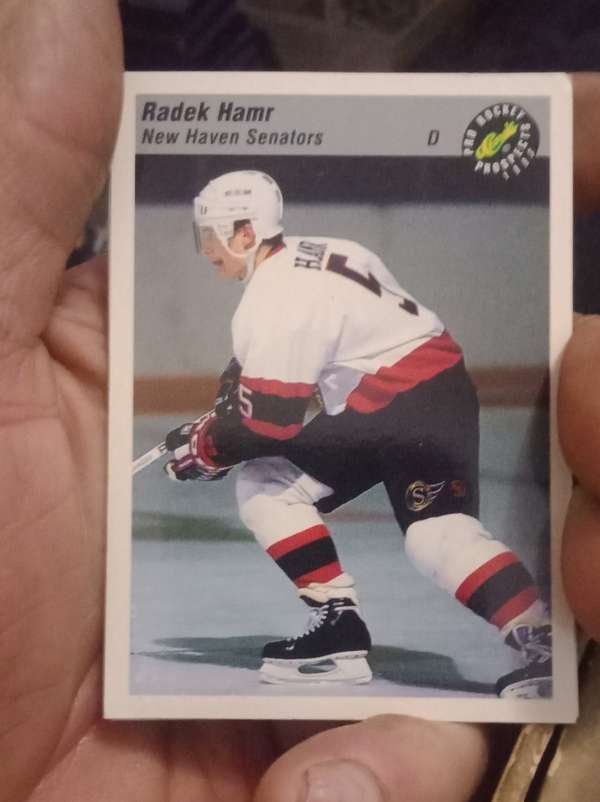 Radek Hamr