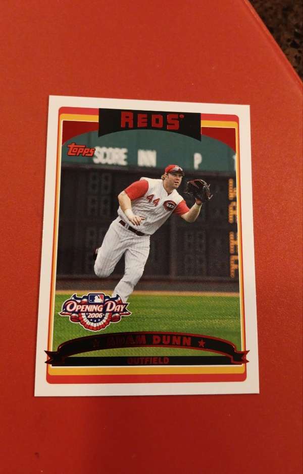#115 Adam Dunn