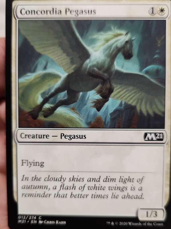 Concordia Pegasus