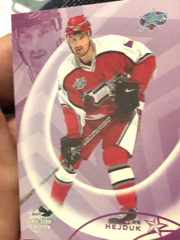 Milan Hejduk