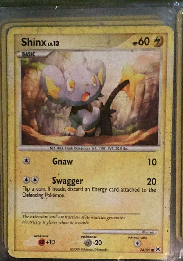 Shinx
