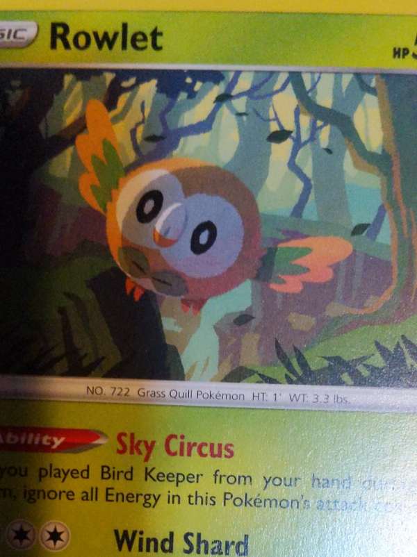 Rowlet