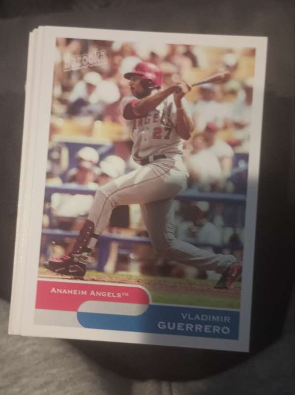 Vladimir Guerrero