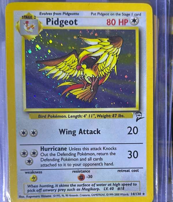 #014/130 Pidgeot