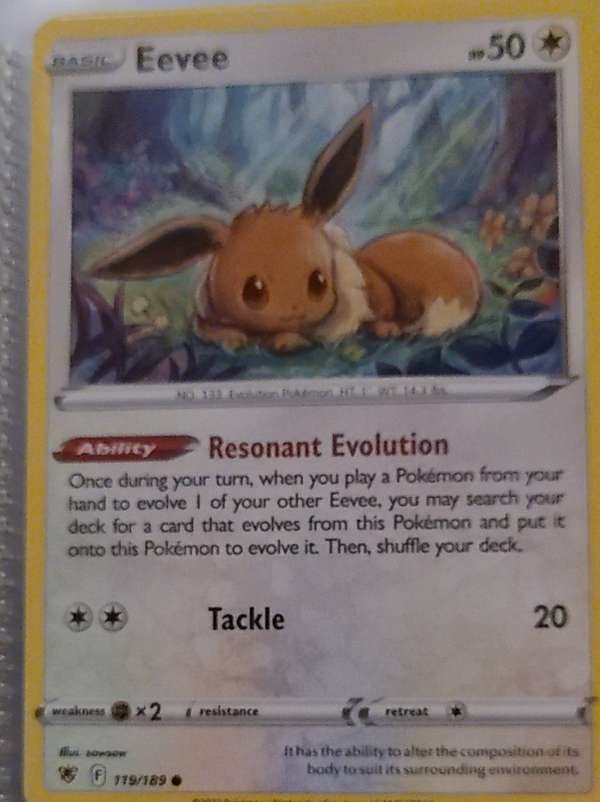 Eevee