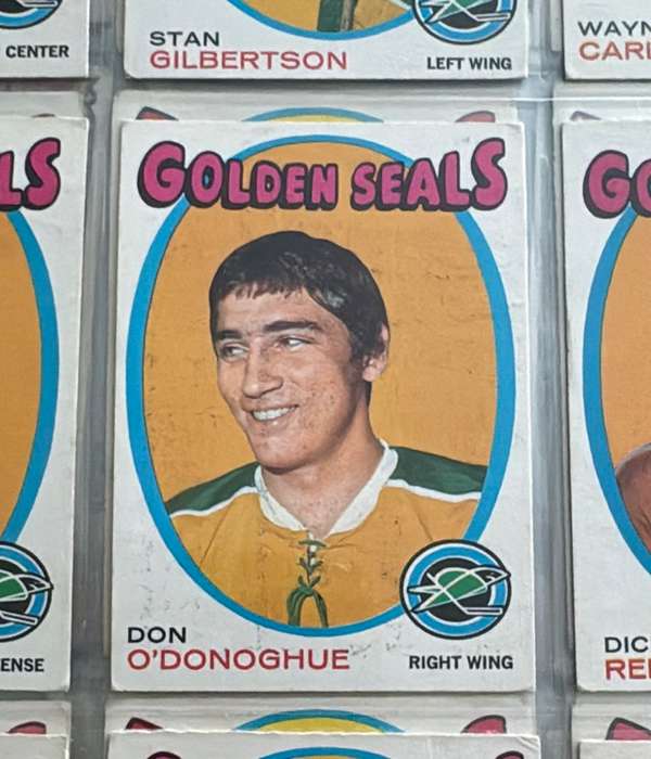 Don O'Donoghue