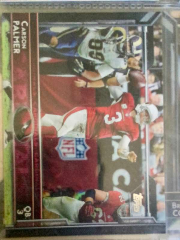 Carson Palmer