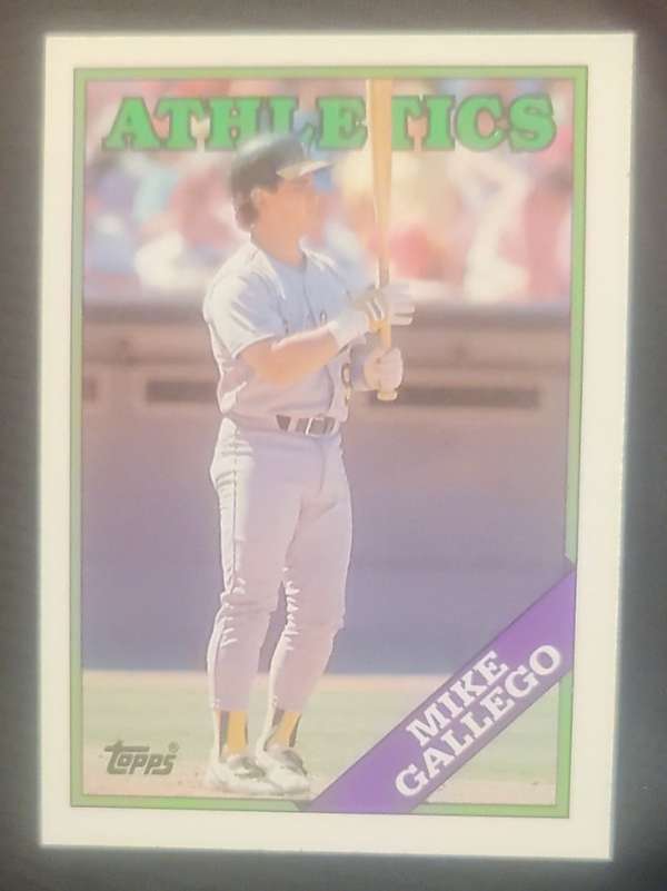 Mike Gallego